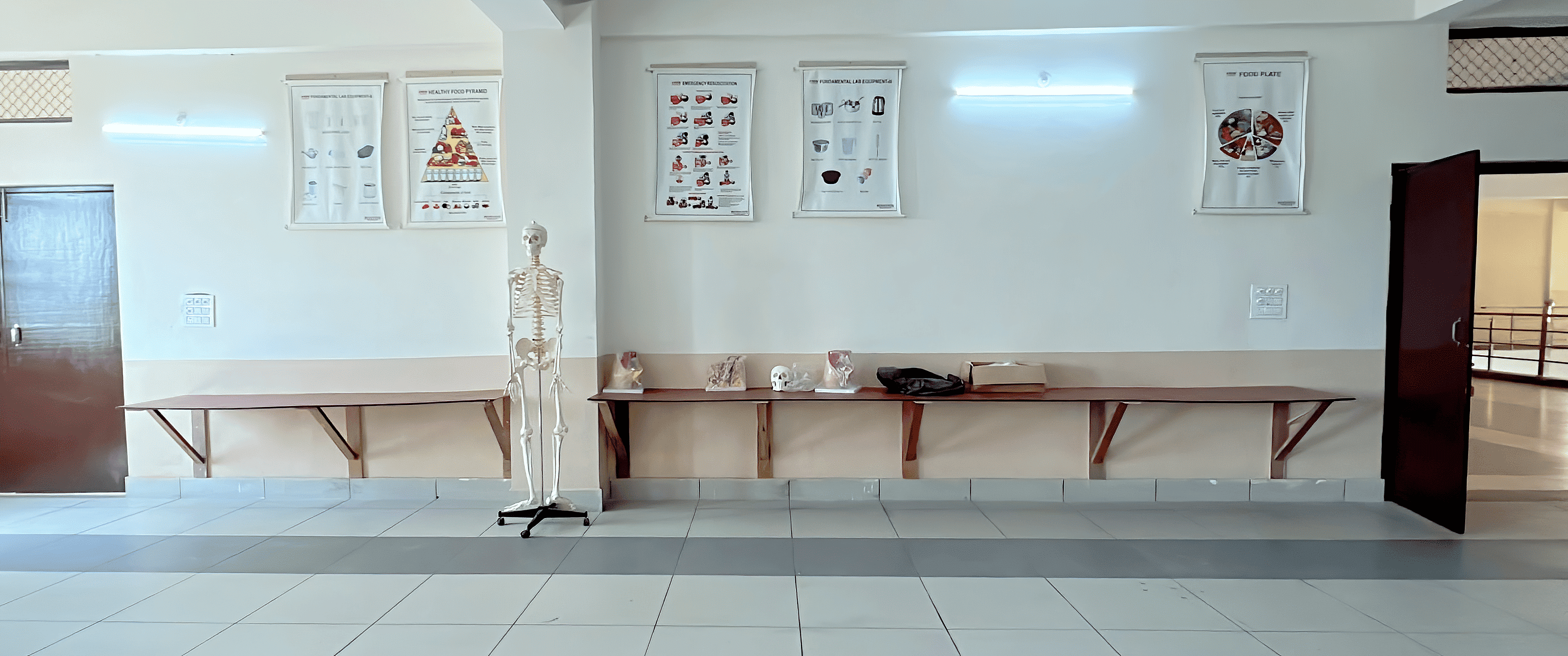 Anatomy Lab