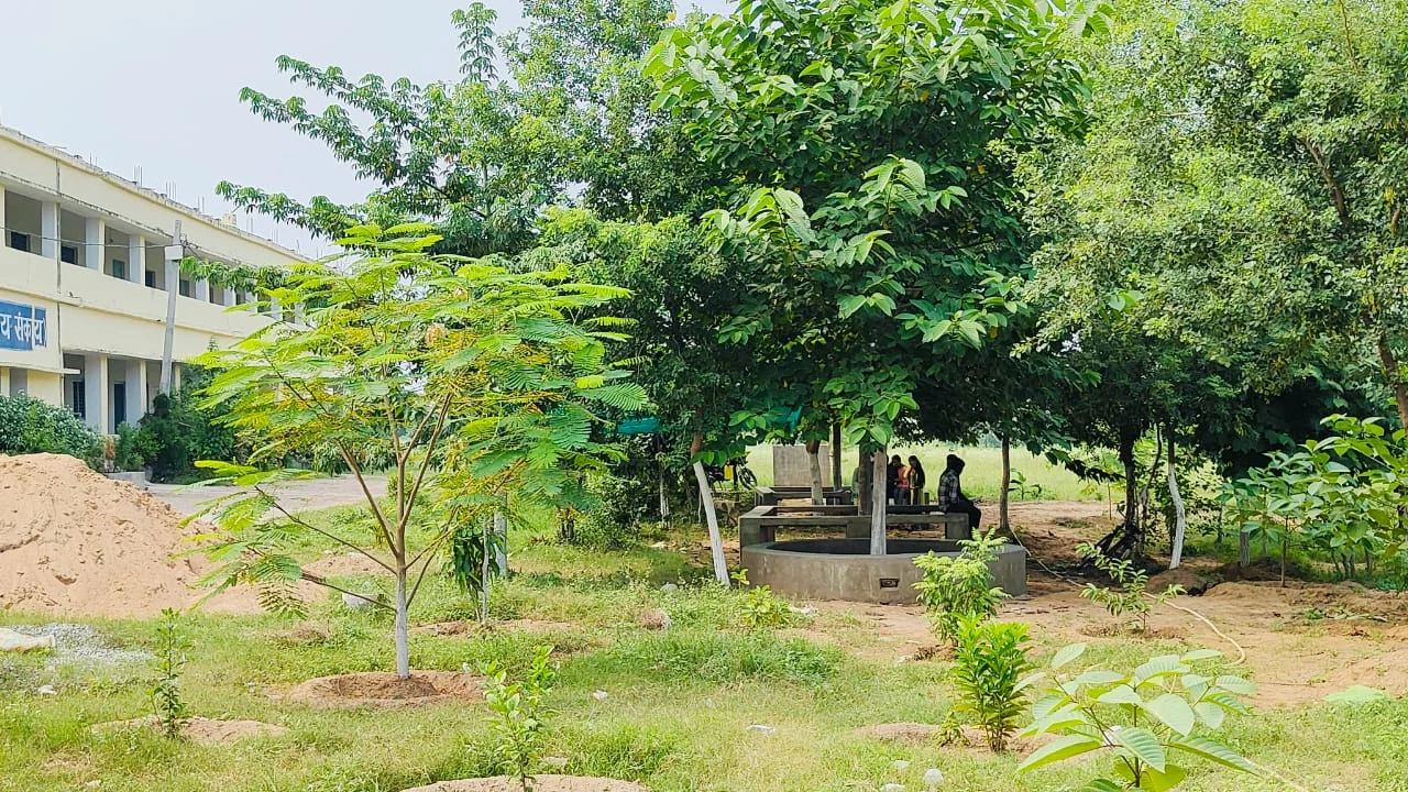 Parks and Garden