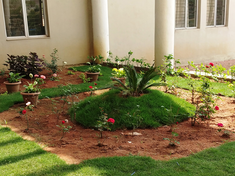 Parks and Garden