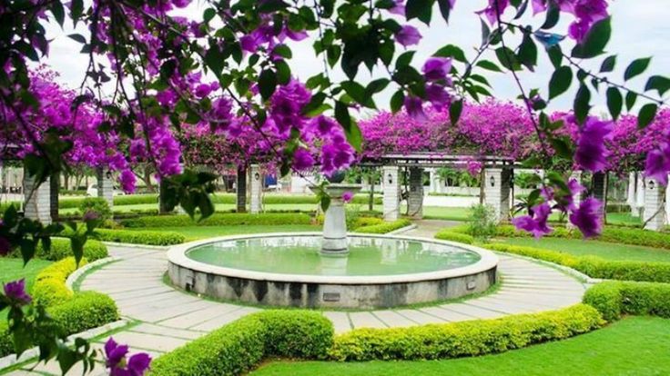 Parks and Garden
