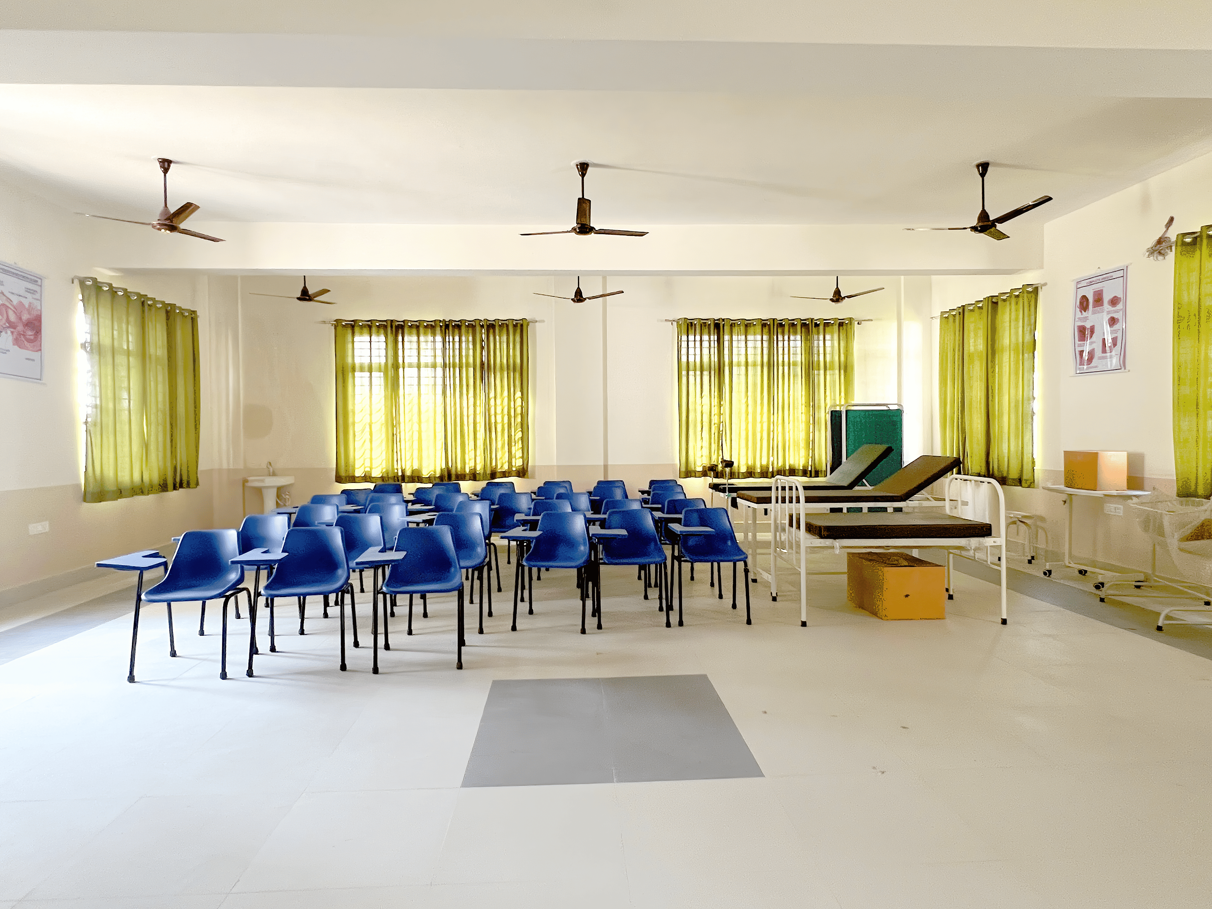 Placement Gallery